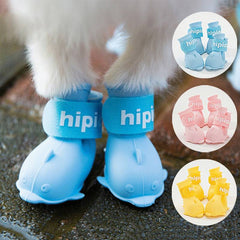 Pet Shoes & Socks