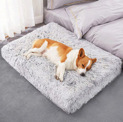 Pet Mats