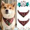Pet Scarves