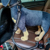 Pet Seat Belts
