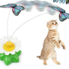 Pet Chase & Chew Toyes