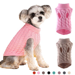 Pet Kintted wears