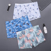 Boxer Underwear