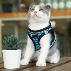 Pet Harnesses