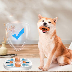 Pet Training and Education Toyes