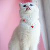 Pet Jewelry