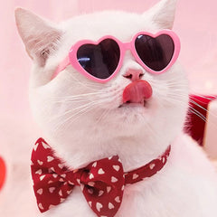 Pet Glasses