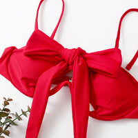 Multi-color Underwire Bikini Top A Multi-wear Small Breasted Female Swimsuit