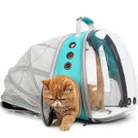 Rear Expandable Transparent Mesh Pet Backpack