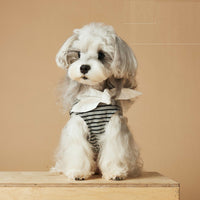 Dog Clothes Spring And Summer Striped Dress