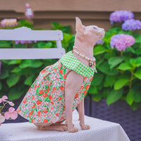 Summer Lightweight And Breathable German-style Pet Cat Garment