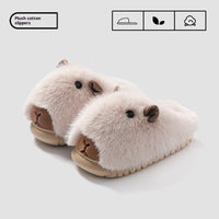 Autumn And Winter Fashionable Cartoon Plush Slippers