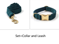 Sapphire Green Velvet Gold Buckle Hardware Pet Collar Leash