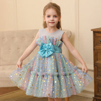 Girl Princess Dress Little Girl Gauzy Gown Performance Costume Lace Dress