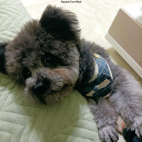 Vest-style Leash For Walking Cats And Dogs
