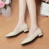 Autumn Square Toe Chunky Heel Low-cut Women's Shoes