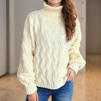 Turtleneck Solid Color Commute Loose Pullover