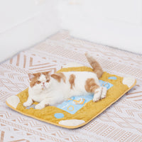 Artic Velvet Cat Nest Cave Bed With Pillow And Separate Sleeping Pad