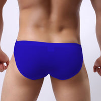 Men's Briefs Youth Ice Silk Transparent