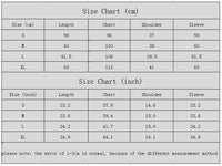 Women's Elegant Color Block Tie Waist Lantern Sleeve Chiffon Top