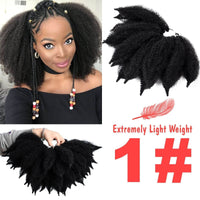 Dreadlocks Marley Braids Pointed Tail