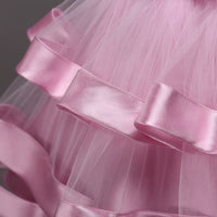 Girls Multi-Layer Puff Sleeveless Embroidered Show Dress Skirt