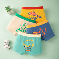 Boy Pure Cotton Boxer Brief