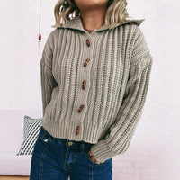 Lapel Long Sleeve Vintage Single-breasted Commute Leisure Thick Sweater