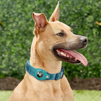 Convenient Tracker Pet Special Collar Cover Pet Loss Prevention Collar
