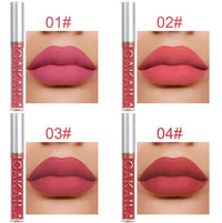 Pack Of 10 Matte Nonstick Cup Waterproof Lip Gloss