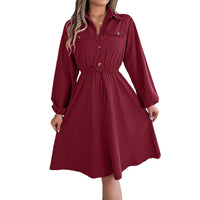 Womens Casual Buttoned Lace-Up Waist-Cinching Long-Sleeve Dress
