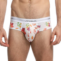 Men Low Waist Triangle Printed Shorts