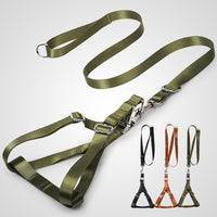 Golden Wool Edged Shepherd Husky With Big Dog Leash