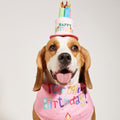 Creative Printing Dog Triangular Binder Birthday Saliva Towel Accessories