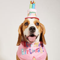 Creative Printing Dog Triangular Binder Birthday Saliva Towel Accessories