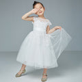 Girls Mesh Birthday Show Tutu Skirt Catwalk