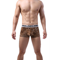 Men's Fashion Leopard Print Low Waist Briefs