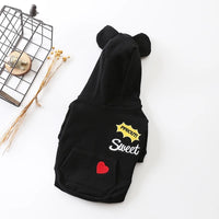 Fashionable New Dog Clothes For Autumn And Winter
