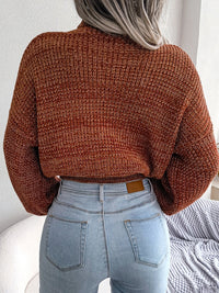 Women Mixed Color Lantern Sleeve Turtleneck Knit Sweater
