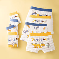 Boy Pure Cotton Boxer Brief
