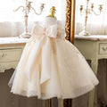 Dress Baby Full-year Birthday Catwalk Princess Dress