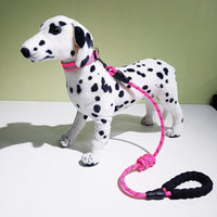 New Model Reflective Collar For Pet Dogs, With A Decorative Necklace And A Leash.