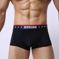 Transparent Thin Ice Silk Boxers Fashion