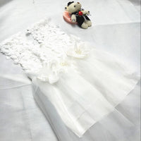 Spring And Summer Children's Sling Lace Little Girl Dress