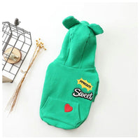 Fashionable New Dog Clothes For Autumn And Winter