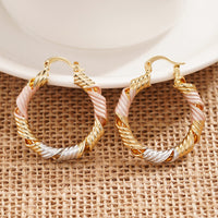 Metal Multi-color Trendy Earrings For Women