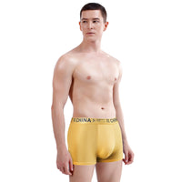 Men's Ice Silk Breathable Sport Letters Printed Underwear