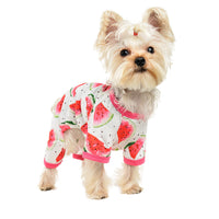 Fashion Dog Watermelon Printing Four-legged Jumpsuit