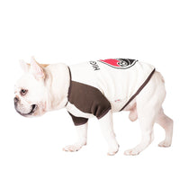 Clothes Pet Teddy Dog Fighting Two Leggings