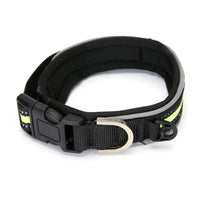 Velcro adjustable reflective collar